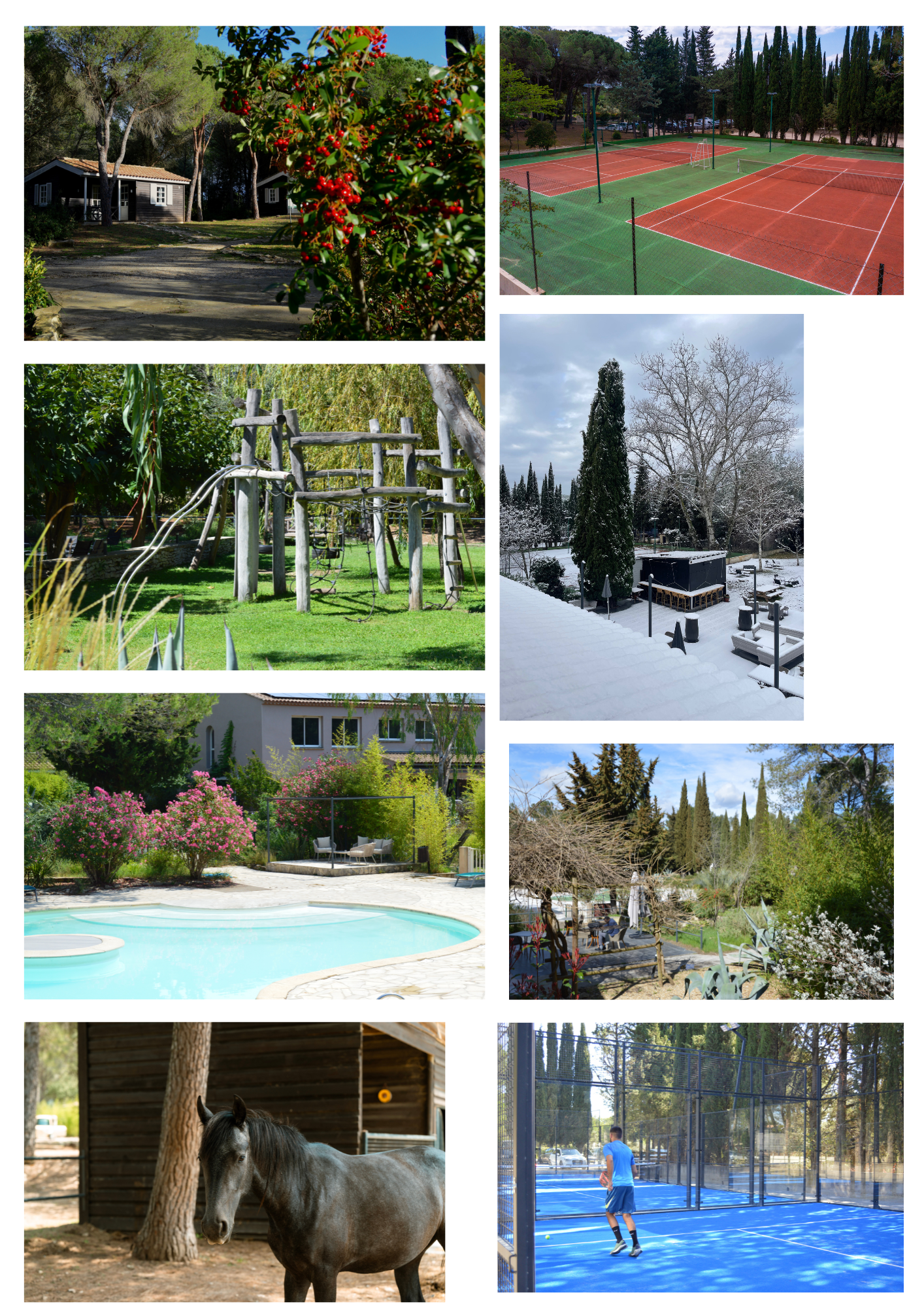 Piscine extérieure et jardin fleuri